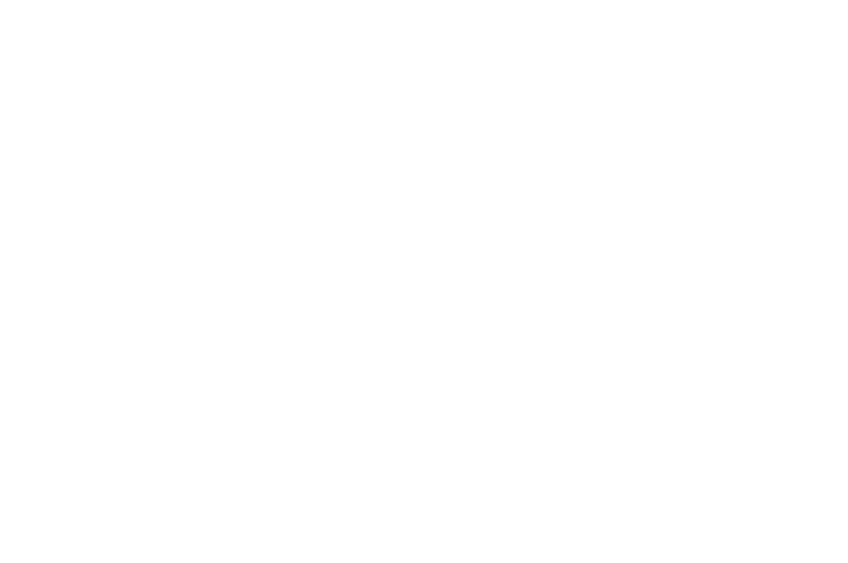 Hallucinea Film Festival official selection laurel
