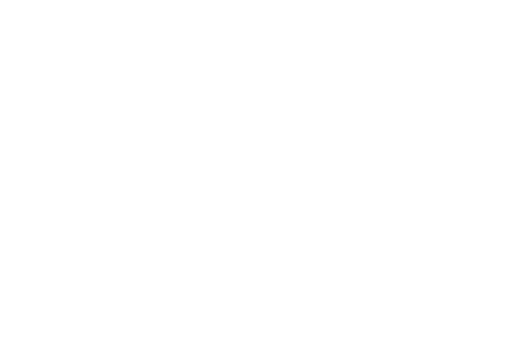 Stockholm City Film Festival official selection laurel