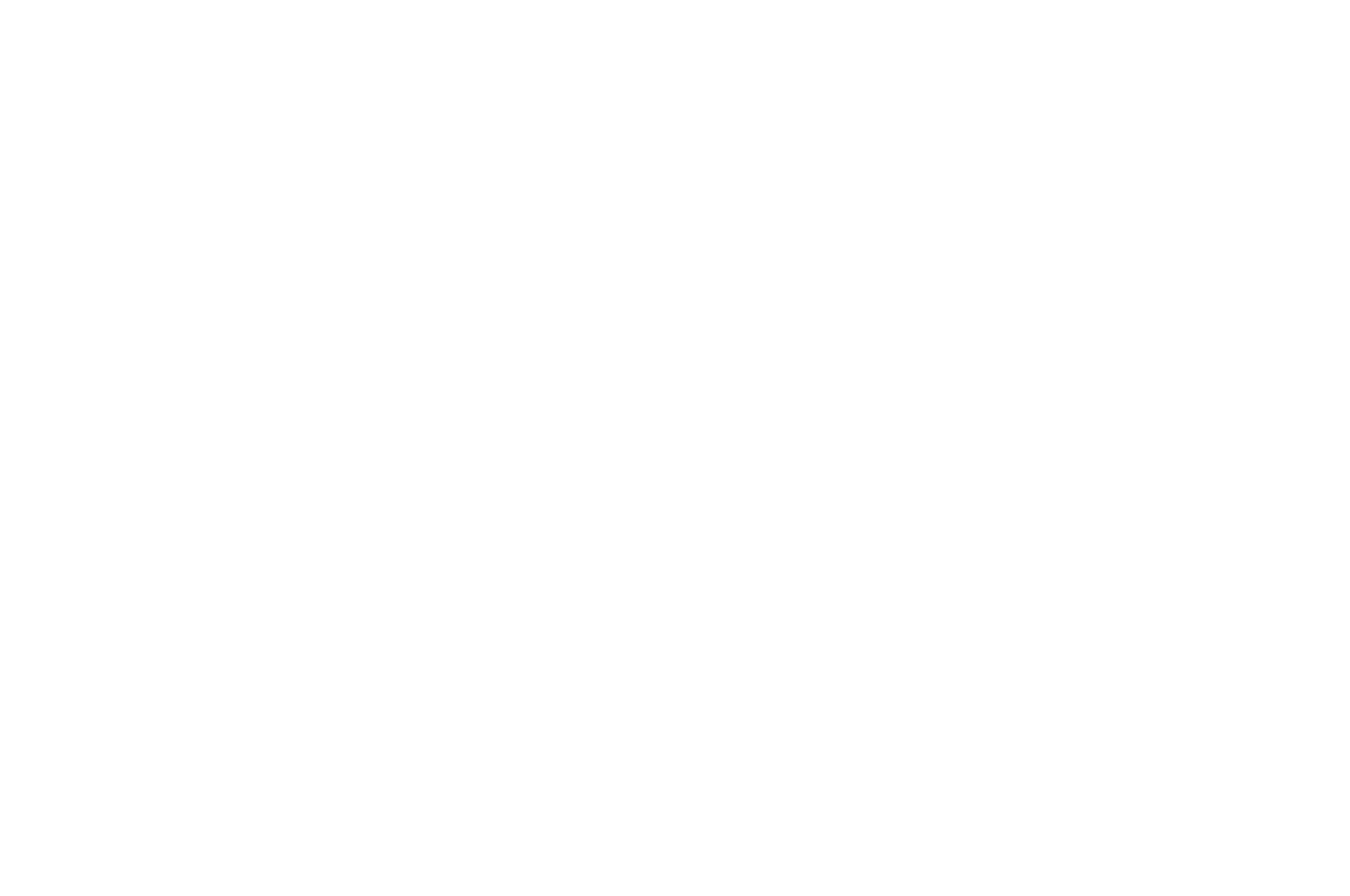 Thriller Suspense Festival official selection laurel